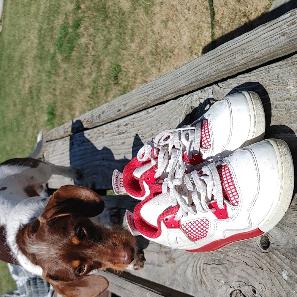 Retro Jordan 4s